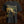 A black short-sleeve t-shirt featuring the band 'Brodequin'  and Harbinger of Woe artwork on the front, displayed against a dark, textured background.