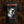 A black Inveracity band short-sleeve graphic T-shirt shown from the back, featuring the words 'CIRCLE OF PERVERSION' in red at the top and a large horror-style face print with red text at the bottom, set against a dark textured background.