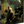 A physical copy of the band Brodequin's album 'Harbinger of Woe' shown at a three-quarter angle to display the spine and cover art. The cover features dark, gothic artwork of a woman being held by armed men in a dim, dungeon setting, with the band's name in a stylized font at the top and the album title at the bottom right.