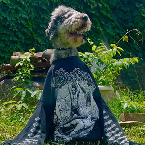 A gray scruffy dog wearing a black Brodequin - Instruments of Torture long-sleeve band t-shirt with a large white graphic print on the back, sitting outdoors in a grassy area with green ivy in the background.